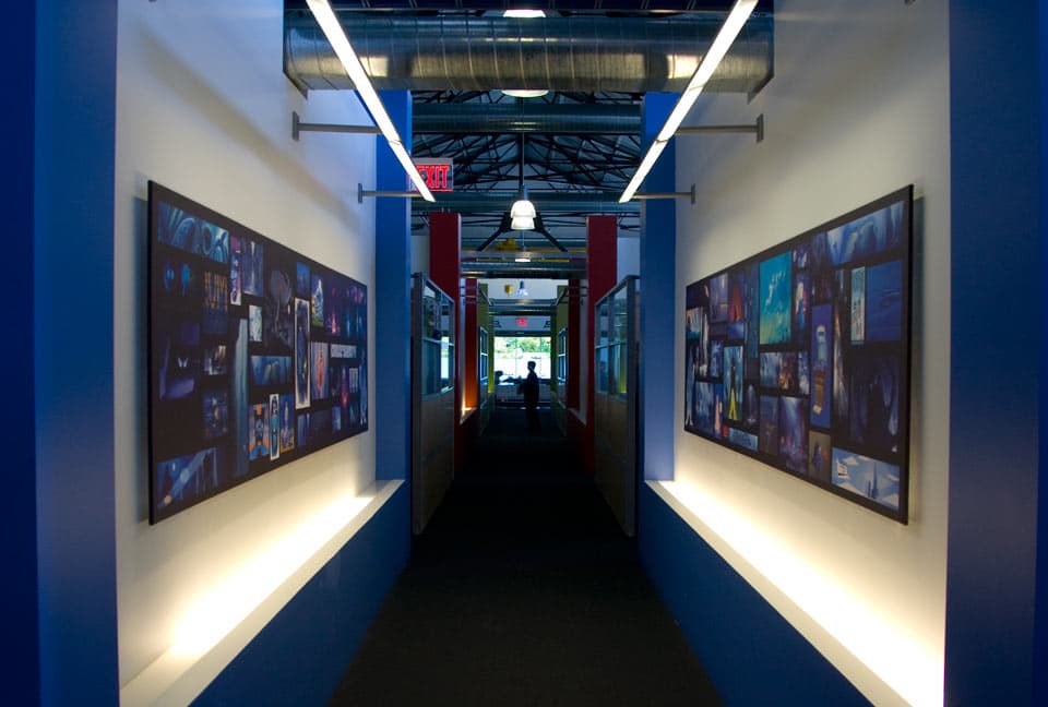 Acoustic Panels vs Ceiling Clouds: Wall or Ceiling First?